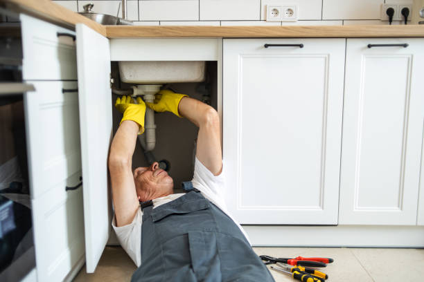 Best Plumbing Inspection Services  in Salt Creek Commons, IN